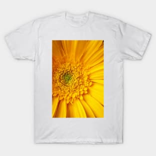 Close Up Yellow Gerbera Daisy T-Shirt